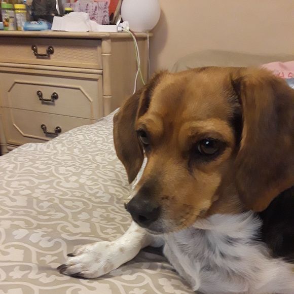 Meet the Posher Other - Meet your Posher, Sandy